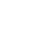 shipping icon